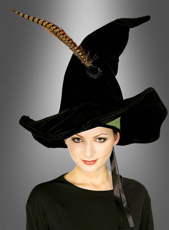 Professor Mc Gonagall Hut 1 Professor Mc Gonagall Hut