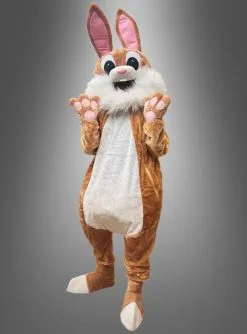 Hasenkostüm Maskottchen Mit Vollmaske