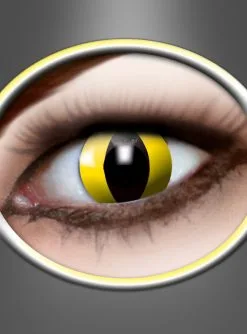 Monatslinsen Yellow Cat Gelb