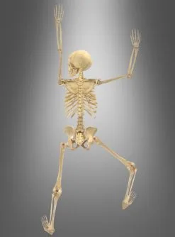 Bewegliche Skelett Wanddeko 158cm