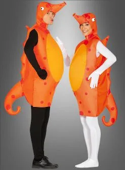 Seepferdchenkostüm Für Erwachsene