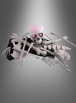 Menschliche Skelett Knochen Set Mit LED Schädel