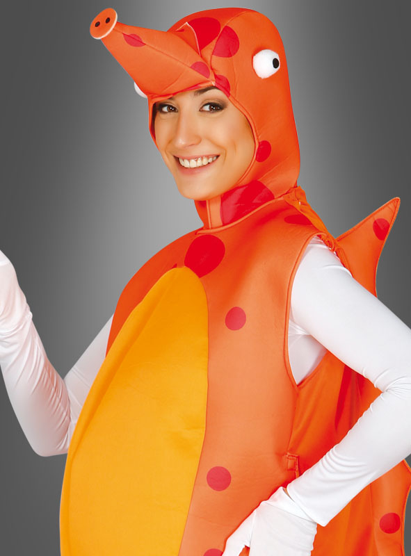 Seepferdchenkostüm Für Erwachsene 2 Seepferdchenkostüm Für Erwachsene – Bild 2